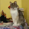 Отзыв от Наталия Козырева